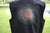 Plur Patch Vest
